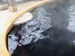 -天目湖涵田半山温泉