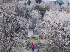 -樱桃山旅游景区