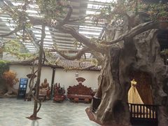 -云境生态园(高新旗舰店)