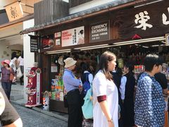 -有栖山 清光院 清水寺
