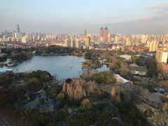 -上海新发展亚太JW万豪酒店
