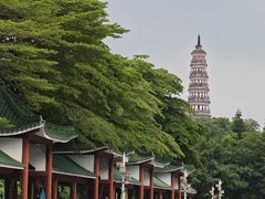 -顺峰山公园