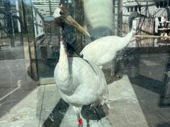 -哈尔滨北方森林动物园