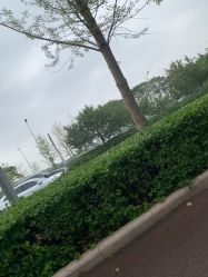 -HEYAN长风荷妍专业脱毛美肤
