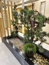 -芳朵美容养生SPA