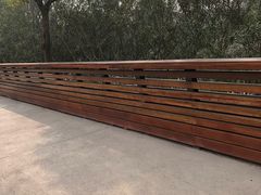 -昆山城市生态森林公园