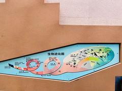 -陕西自然博物馆