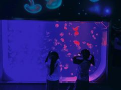 -沈阳海洋探索中心