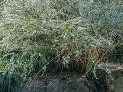 -中国茶叶博物馆(双峰馆区)