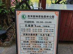 -西双版纳原始森林公园