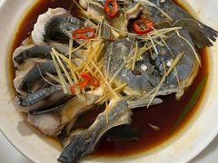 -煲来饱去冷水鱼