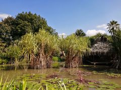 -中国科学院西双版纳热带植物园