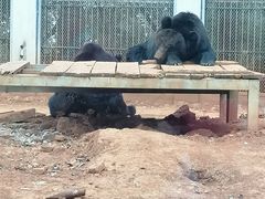 -昆明动物园