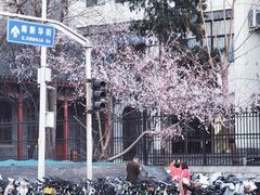 -北京师范大学附属中学