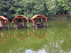 -侨美·唐荔园·40年地道粤菜