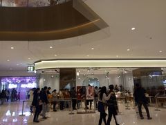 -奈雪的茶(石家庄万象城店)