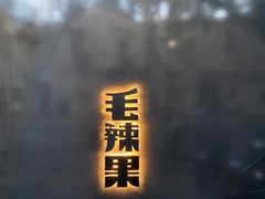 -毛辣果·酸