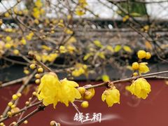 -钱王祠