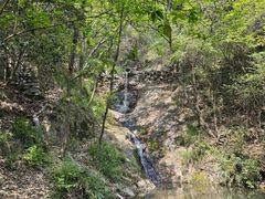 -宁波市保国寺古建筑博物馆