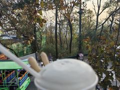 岁月从不败美人-茶颜悦色(岳麓山顶店)