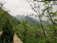 -沣峪口