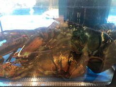 -盒马鲜生(双清路店)
