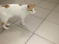 -昇记肠粉王(福华路店)