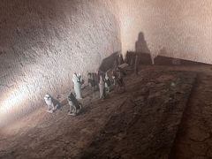 -洛阳古墓博物馆