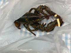 -盒马鲜生(岭南新世界店)
