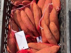 西瓜-西郊国际农产品交易中心