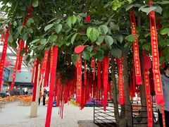-九天休闲谷