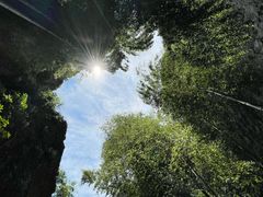 -莫干山风景区