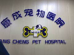 -康成宠物医院24H·CT·核磁共振
