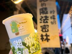 -猫的魔法密林(衣裳街店)