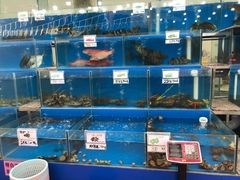 -秋姐美食店(旅游大道店)