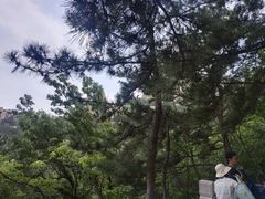 -崂山仰口游览区