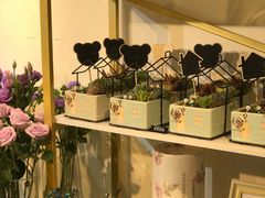 -花未央花店·WEYOUNG