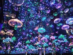 -梵高星空艺术馆(北京旗舰店)