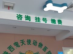 -天使宠物医院·犬猫分诊(彩虹店)