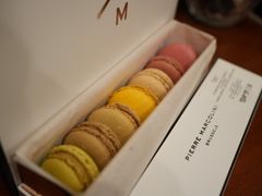 -Pierre Marcolini(德基广场店)