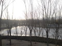 -北坞公园
