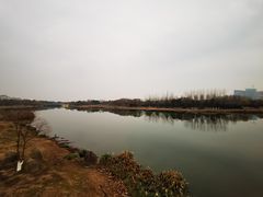 -滨湖塘西河公园