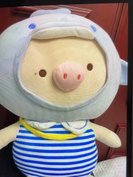 -南京医科大学友谊整形外科医院