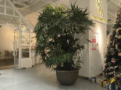 -ins森林童话餐厅coffee&bistro