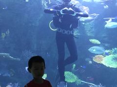 -暹罗海洋世界
