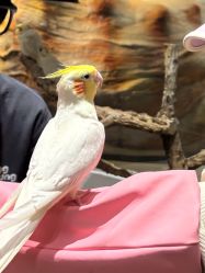 -Zoolung Zoolung动物主题公园(海信广场店)