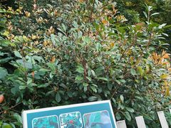 -福道