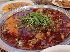鲶鱼-三毛鱼庄(威连路店)