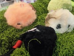 -鹰巢数码EAGLE’S NEST(燕莎店)