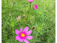 -百里峡七彩艺术小镇